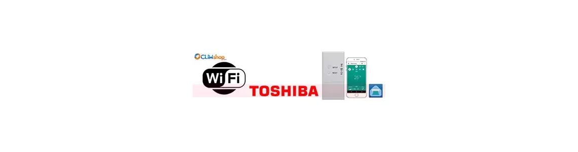 Module Wifi