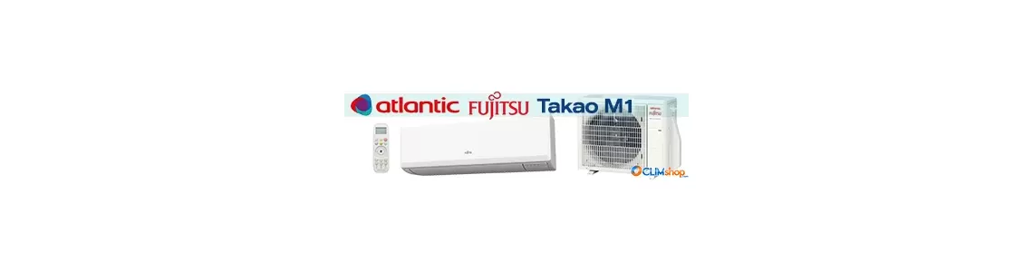 Mural Takao M1 Fujitsu Atlantic