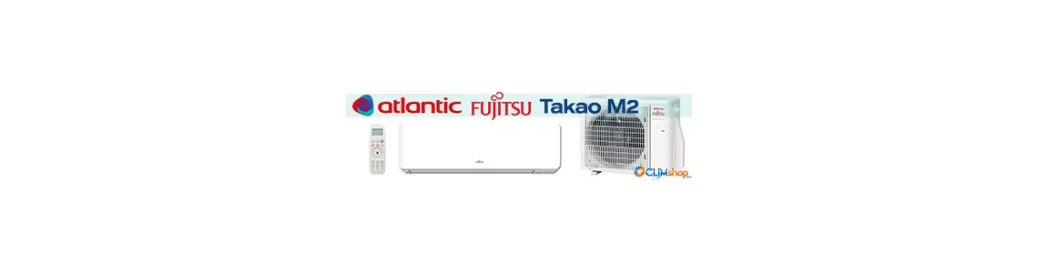 Mural Takao M2 Fujitsu Atlantic